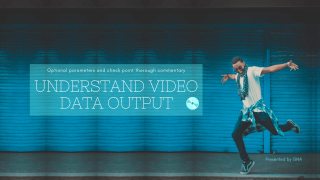 Understand video data output_パワーディレクター_出力方法_パラメータ設定の解説